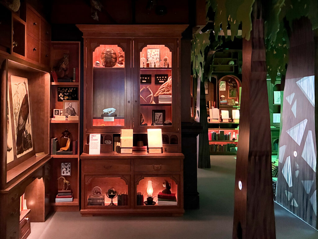 Cabinetry filled with items along two walls